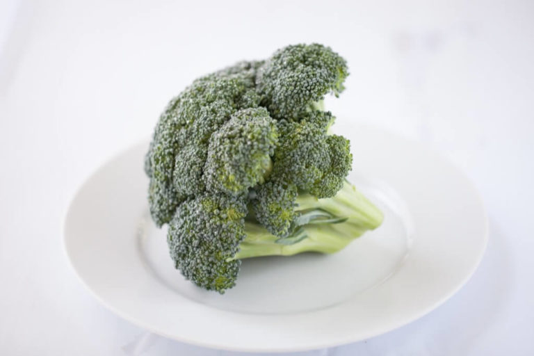 broccoli on a plate