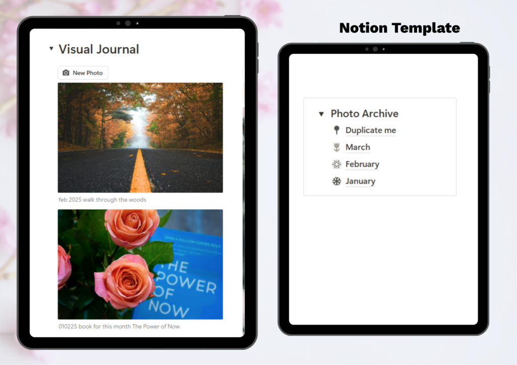 Close-up of the visual journal showing photo upload buttons, captions, and a monthly archive with drag-and-drop organization for easy photo management.